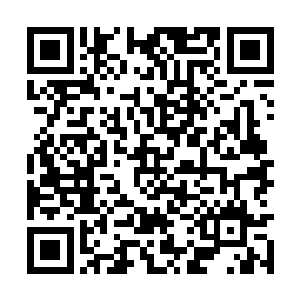 此时圣山之上的守护修士见到阳辉从空中显出身形二维码生成