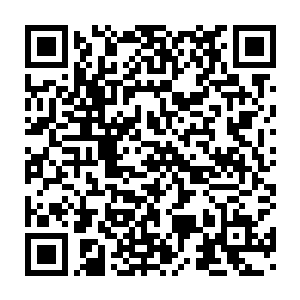 此时在从星光大陆和遗失大陆通往上元大陆的途中也发生着同样的事情二维码生成