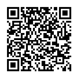 此时在海奇星的大殿之内正在举行一场盛大的宴会二维码生成