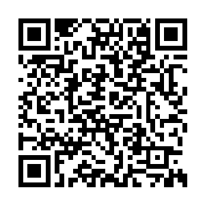 此时在苏叶的演绎下竟然将张太太迎进了会议室二维码生成