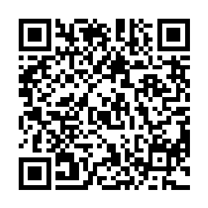 此时在襄阳的西南方向外一处名叫吴敦口的平原之地上二维码生成