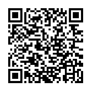 此时在越前州和若狭州中间的一处名叫野坂山的地方二维码生成