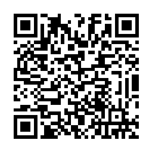 此时夏天也有点期待起那个半年后的山门低级弟子大比了二维码生成