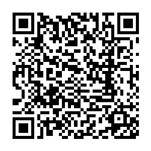 此时夏天的丹田之中已经有了三名第五档的高手和七名第四档的高手二维码生成