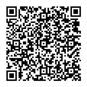 此时天空中正和苍澜宗人尊期大修士交战的魔族大修士可没有八大宗主那个闲情逸致在那里感概二维码生成