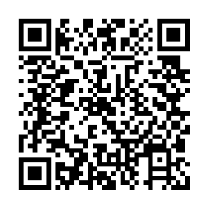 此时她也终于明白了叶璃为什么会说她会后悔了二维码生成