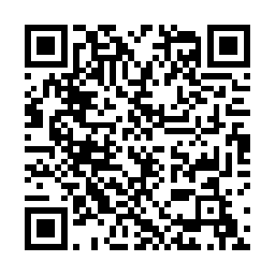 此时她也能隐隐感受到罗绮香光彩背后的失落与悲哀了二维码生成