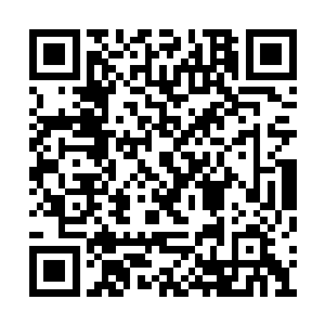 此时她已经完全确定天符商行就是前来追杀她的二维码生成