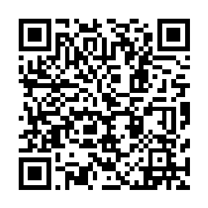 此时她正用着一双略带愤怒和迷茫的眼睛不断地打量着四周二维码生成