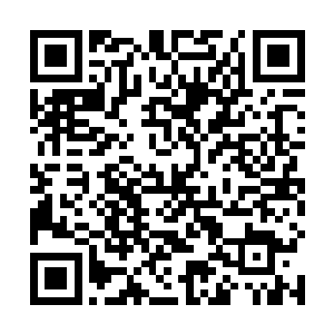 此时对面的打野蝎子也已经从上半野区来到了中路附近二维码生成