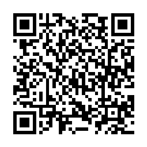 此时小甲手里拿着一个装满了红色液体的试管走了过来二维码生成