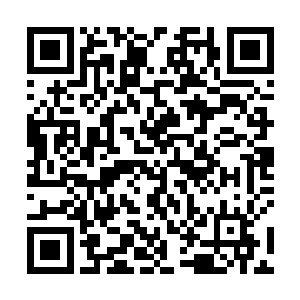 此时尚尊已经试验出自己的本体强度不是土依水的对手二维码生成