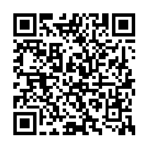 此时就是俩个西门吹牛一起上也很难打得过陈诚二维码生成