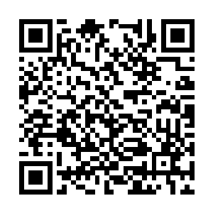 此时就连其余的缙绅也是感觉得兔死狐悲坐不住了二维码生成