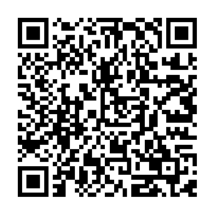 此时山门内那条笔直的大道两边的石像傀儡都已经消失没那些天尊收走了二维码生成