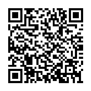 此时已经开始凝聚出一团数十里大小的浓浓劫云二维码生成