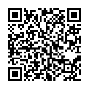 此时恶龙之魂原本漆黑如墨的身体也发生了天翻地覆的变化二维码生成