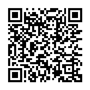 此时想要再杀死一个拥有着提亚马特+幽魂斗篷+大腰带的鳄鱼二维码生成