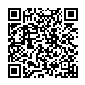 此时所有的紫色的气息全都朝着一个方向飘散过去二维码生成