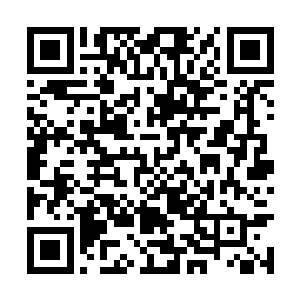 此时手挽手的正从一辆半路抛锚的长途大巴上下来二维码生成