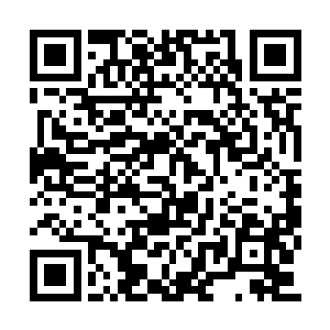 此时擂台上正有两名精壮的汉子在进行自由搏击二维码生成