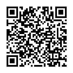 此时整个死亡山林四周已经被吴岩布置下阵法全面封锁二维码生成