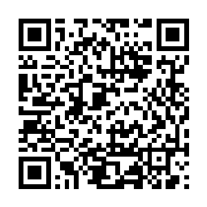 此时整个黑幕仙城已经完全成为了一座巨大的废墟二维码生成