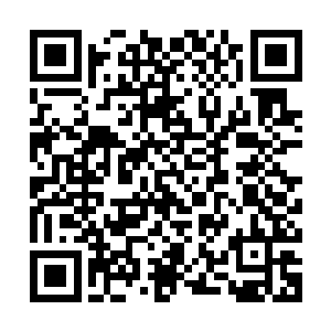 此时望向这些成片的药材的目光之中也充满了浓浓的狂喜的表情二维码生成