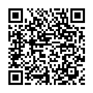 此时望向龙傲天的目光之中也充满了浓浓的惊恐的表情二维码生成