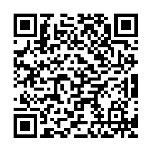 此时杀戮天尊身上的那恐怖的凶戾的气息直接消失的无影无踪二维码生成