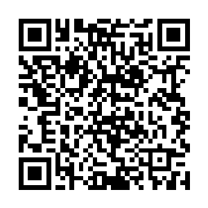 此时杨戬只见炼天神鼎之中的火莲的颜色不断的变幻二维码生成