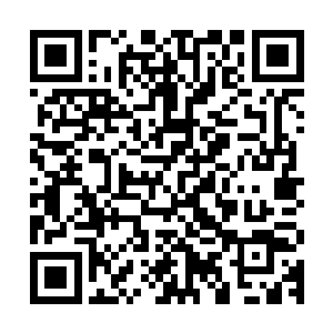 此时杨戬望向虚空之中的那些玄黄造化果的眼神之中也满是炽热二维码生成