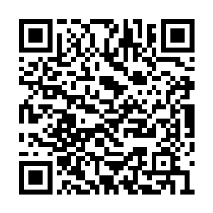 此时林铭脚下除了一小块被青苍真元护住的地方二维码生成