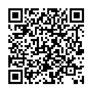 此时正凶狠的瞪视着下方山脚下的铁剑盟一众帮众二维码生成