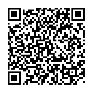 此时正当着上千名观众的面教育起了这两个没什么见识的井底之蛙来二维码生成