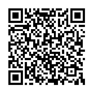 此时此刻同紫晴一样挺直了腰板站着的七个少年二维码生成