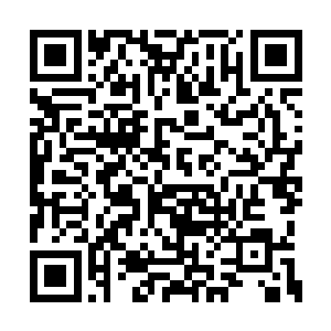 此时此刻界灵公会的许多当家长老都很感激楚枫二维码生成
