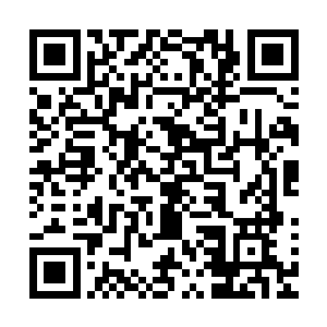 此时此刻的天道望着玲珑那紧锁黛眉的模样以及俏脸上的疲惫二维码生成