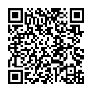 此时此刻的长生殿和不悔塔两方势力也没有打算买账的意思二维码生成