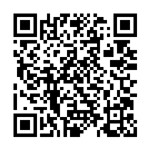 此时每个人的脸上都带着一股浓浓的期待的表情二维码生成