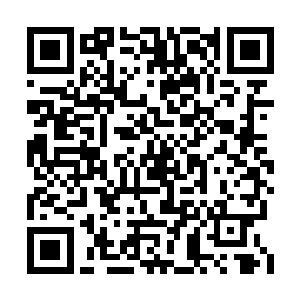 此时水菲菲与御医的身影已然出现在走廊的尽头二维码生成