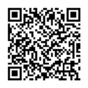 此时江帆也看到纳甲土尸扛着盛小旺跑过出来了二维码生成