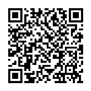 此时没有人再把许紫烟当做一个化神期修士去看二维码生成