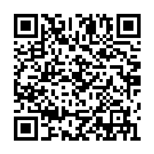 此时洛平峰还是洛明桥都不想再让他们打下去了二维码生成