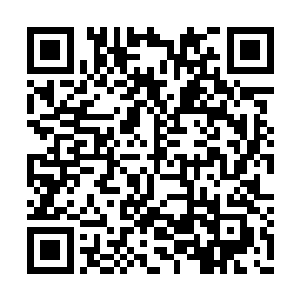 此时满腔激愤怒火的他恨不得将这里给夷为平地二维码生成