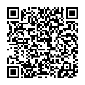 此时灵动之极的朝着上方被封困在彩色网状封困罩内的神珍灭仙剑追击了过去二维码生成