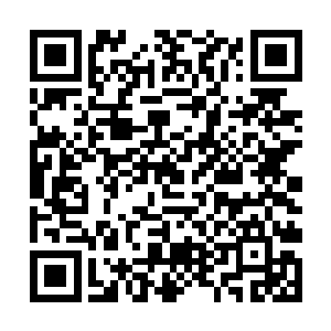 此时电视上播放的正是陈露萍笑着脸对着镜头答疑道二维码生成