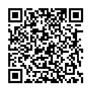 此时的代表团团长梁诚已经被他拨拉到一边去了二维码生成