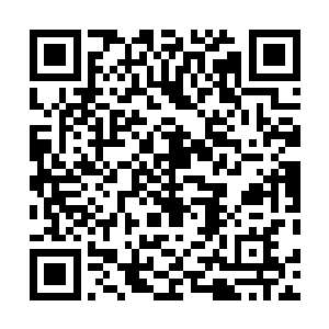 此时的凤火舞比之前的时候身上的尊贵的气息更加的浓郁二维码生成