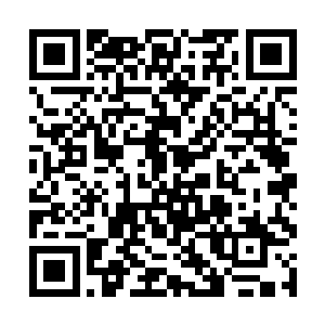 此时的夏天已经完全被杀一杀二杀三他们给控制住了二维码生成